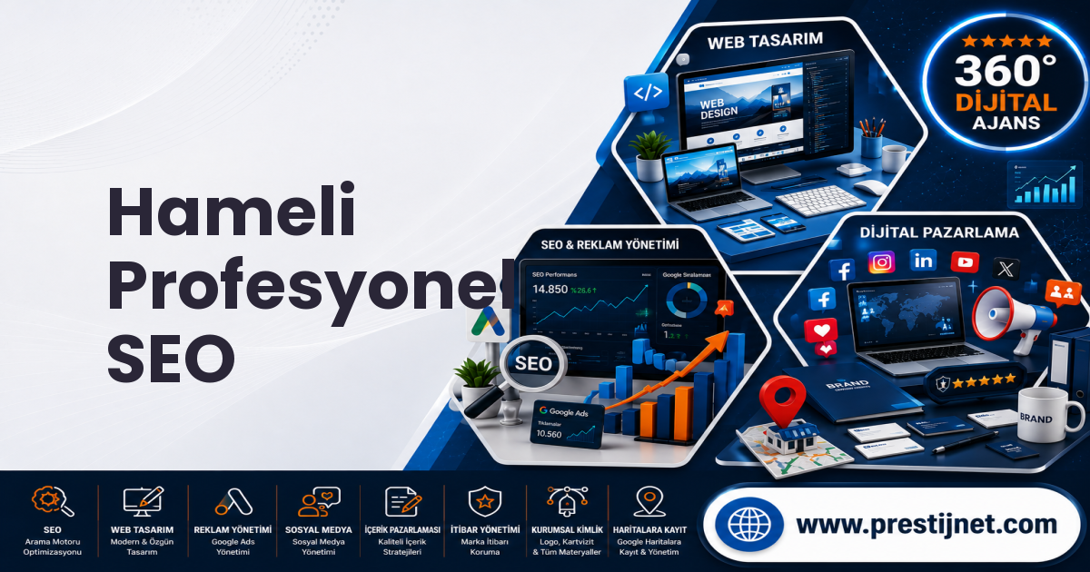 Hameli Profesyonel SEO