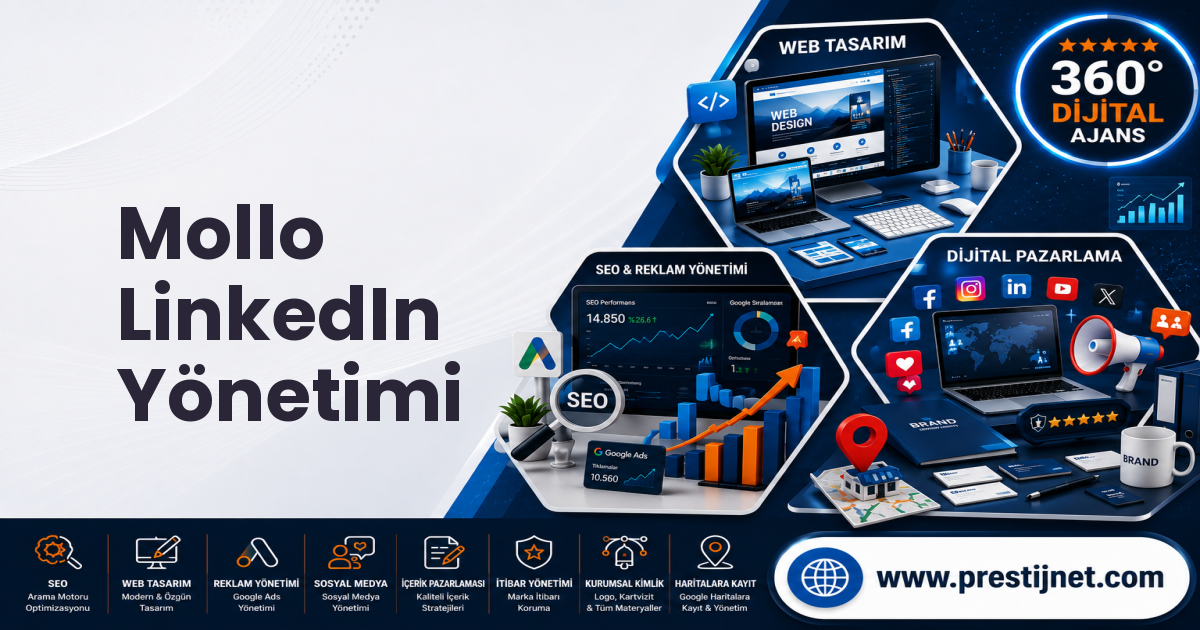 Mollo LinkedIn Yönetimi