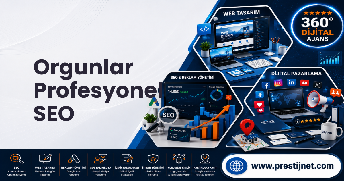 Orgunlar Profesyonel SEO