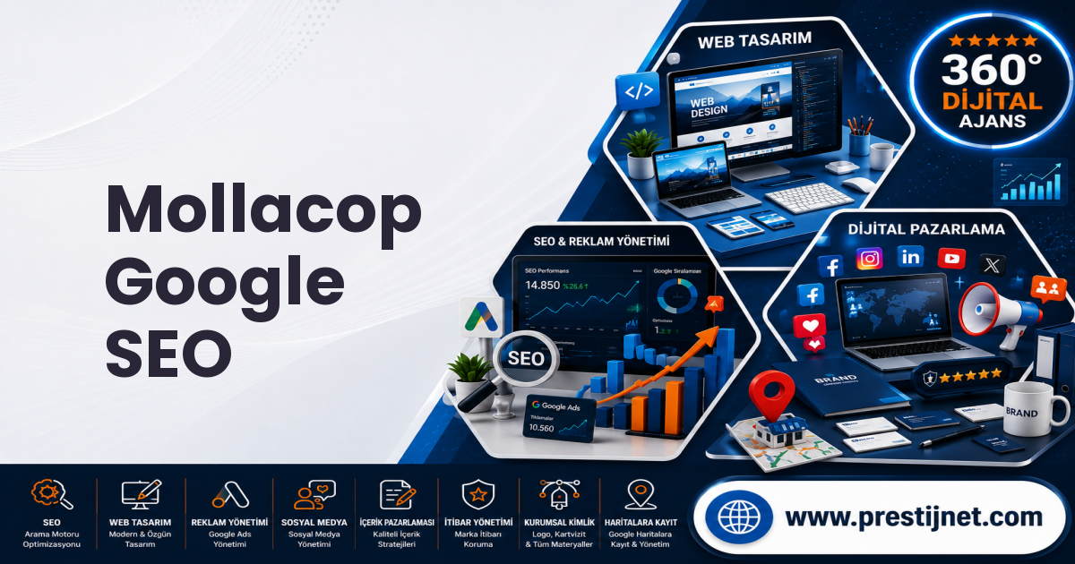 Mollacop Google SEO