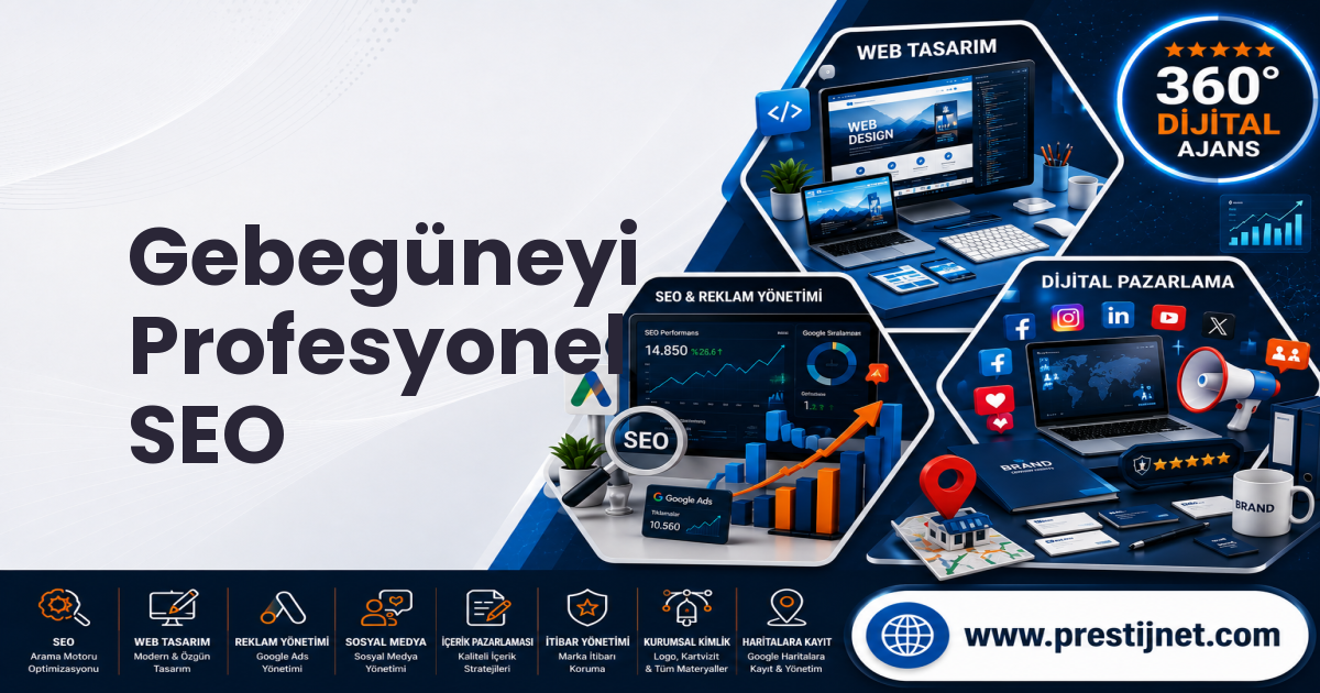 Gebegüneyi Profesyonel SEO
