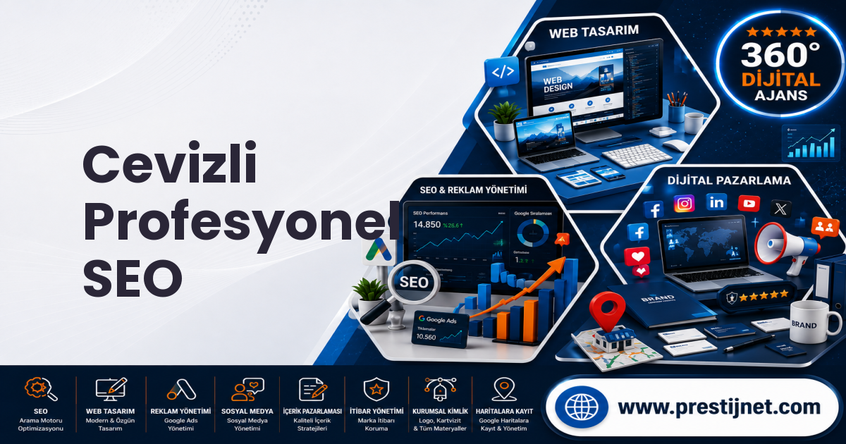 Cevizli Profesyonel SEO