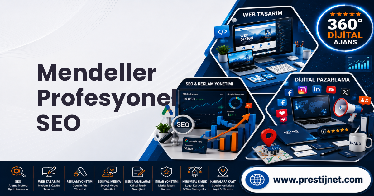 Mendeller Profesyonel SEO