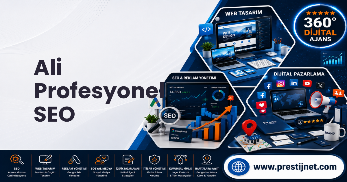 Ali Profesyonel SEO