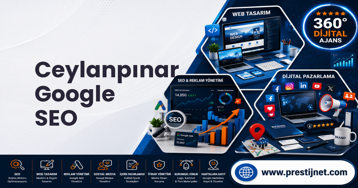 Ceylanpınar Google SEO
