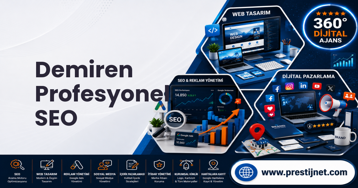 Demiren Profesyonel SEO