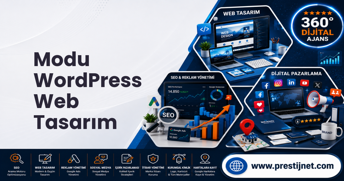 Modu WordPress Web Tasarım
